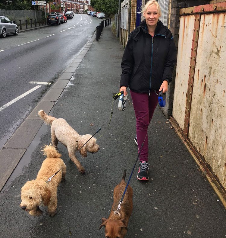 dog walking and pet sitting Atherton